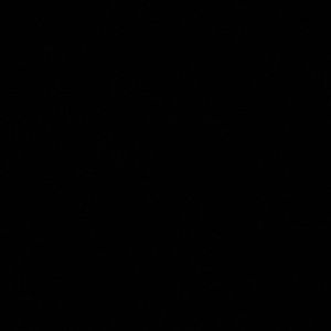 Meet your Posher, Jayden